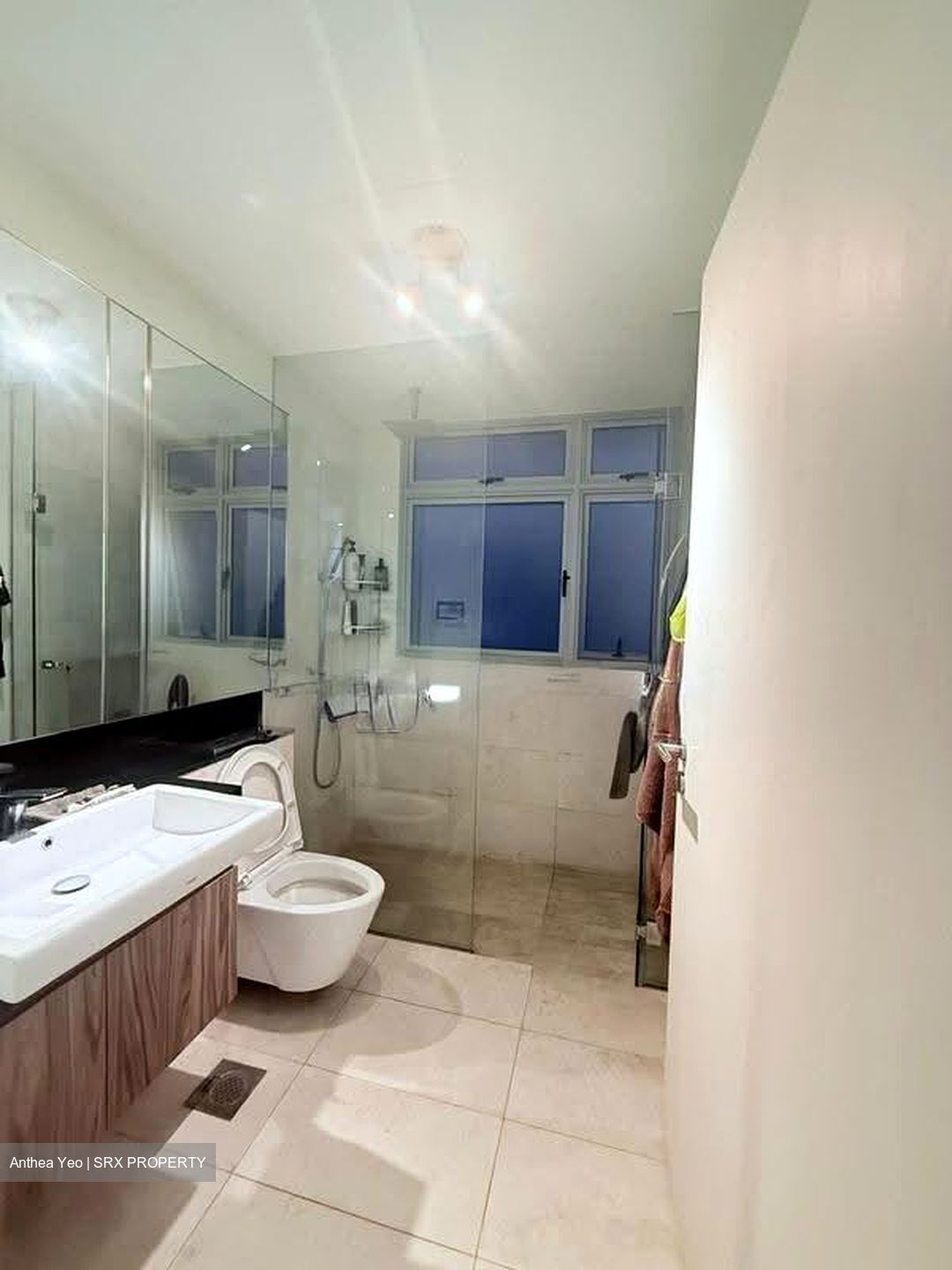 Suites @ Newton (D11), Apartment #634594891